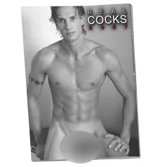 Real Cocks 2027 - erotický nástenný kalendár (1 ks)