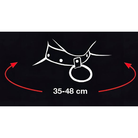 Bad Kitty - obojok srdcia a kovový vodítko (čierne)