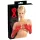LATEX - unisex dlhé rukavice - latex - červené - L