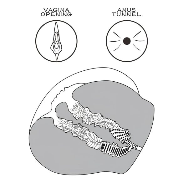 Lovetoy - umelá vagína torzo s tangami - tmavá prírodná farba