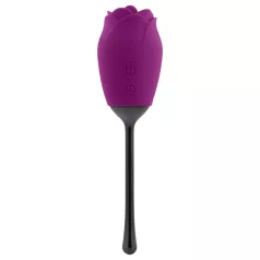   Playboy - vibrátor so stimuláciou jazykom - vodotesný, akumulátor - fialový