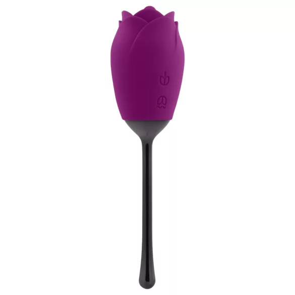 Playboy - vibrátor so stimuláciou jazykom - vodotesný, akumulátor - fialový