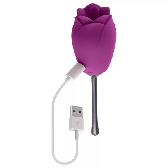Playboy - vibrátor so stimuláciou jazykom - vodotesný, akumulátor - fialový