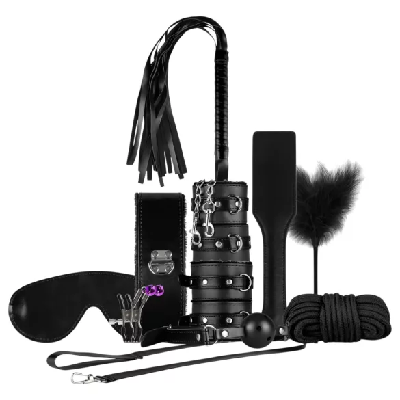 Secret Pleasure Chest - pokročilá BDSM súprava - 14-dielna (čierna)