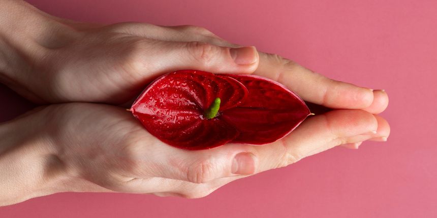 Stimulácia klitorisu diskrétnou erotickou hračkou, lovesexshop.sk sex shop