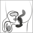 Obraz 11/12 - Anos - nabíjací, anatomický vibrátor na prostatu (čierny)